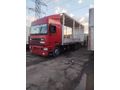 Sahibinden DAF XF 95.480