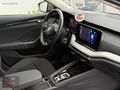 2024 38 bin'de Boyasız Tramersiz 1.5TSI Mhev Elite 150 HP %20KDV