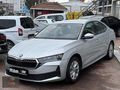 2024 38 bin'de Boyasız Tramersiz 1.5TSI Mhev Elite 150 HP %20KDV