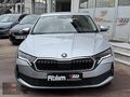 2024 38 bin'de Boyasız Tramersiz 1.5TSI Mhev Elite 150 HP %20KDV