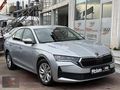 2024 38 bin'de Boyasız Tramersiz 1.5TSI Mhev Elite 150 HP %20KDV