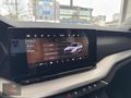 2024 38 bin'de Boyasız Tramersiz 1.5TSI Mhev Elite 150 HP %20KDV