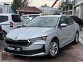 2024 38 bin'de Boyasız Tramersiz 1.5TSI Mhev Elite 150 HP %20KDV