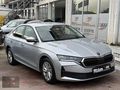 2024 38 bin'de Boyasız Tramersiz 1.5TSI Mhev Elite 150 HP %20KDV