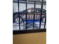 Sahibinden Opel Astra 1.6 Edition 2012 Model 