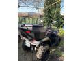 Loncin XWolf 300