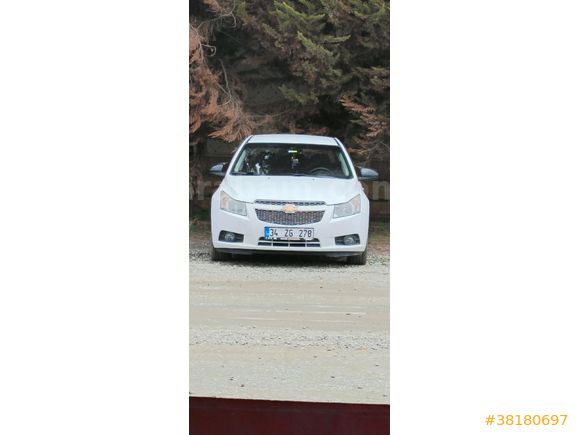 temiz cruze