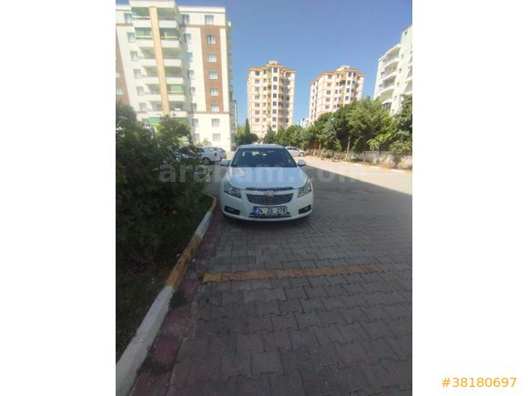 temiz cruze