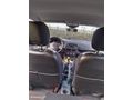 Sahibinden Renault Clio 1.2 Joy 2015 Model  191.000 km Beyaz