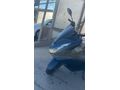 pcx 125 masrafsız temiz motor