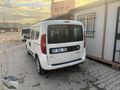 Beyaz güzellik