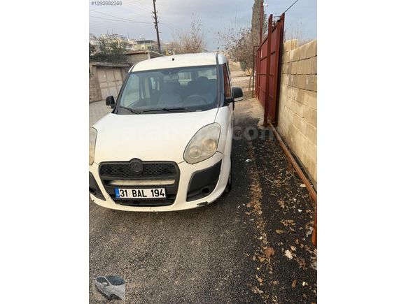 Beyaz güzellik
