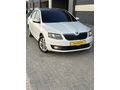 Sahibinden Skoda Octavia 1.6 TDI Elegance CR 2013 Model 