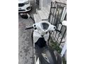 Sahibinden Honda Dio 