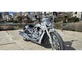 Harley Davidson VRSCDX Night Rod Special (Oto Takaslı)