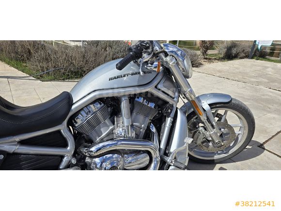 Harley Davidson VRSCDX Night Rod Special (Oto Takaslı)