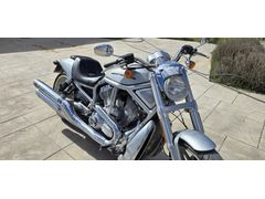 Harley Davidson VRSCDX Night Rod Special (Oto Takaslı)