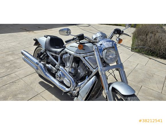 Harley Davidson VRSCDX Night Rod Special (Oto Takaslı)