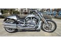 Harley Davidson VRSCDX Night Rod Special (Oto Takaslı)