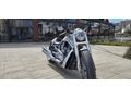 Harley Davidson VRSCDX Night Rod Special (Oto Takaslı)