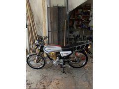 Sahibinden Kuba Çita 50R Gold 