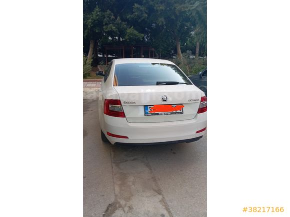 Sahibinden Skoda Octavia 1.6 TDI Optimal 2016 Model