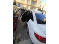 Sahibinden Fiat Linea 1.3 Multijet Active Plus 2015 Model  210 km Beyaz