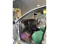 Sahibinden Ford Focus 1.6 Ambiente 2000 Model