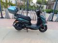 Sahibinden Kuba Pesaro 50 X