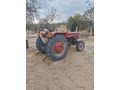 Sahibinden Massey Ferguson 135