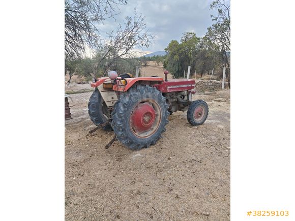 Sahibinden Massey Ferguson 135