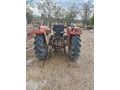 Sahibinden Massey Ferguson 135