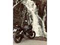 Mondial Dirftl 125 