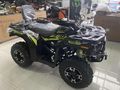 APACHİ TULPAR 300 CC ATV