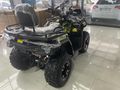 APACHİ TULPAR 300 CC ATV