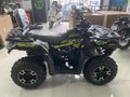 APACHİ TULPAR 300 CC ATV