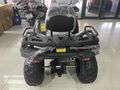APACHİ TULPAR 300 CC ATV