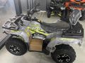 APACHİ TULPAR 300 CC ATV
