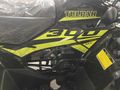 APACHİ TULPAR 300 CC ATV