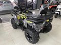 APACHİ TULPAR 300 CC ATV