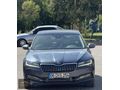 TOPAL GROUP AUTO PRESTİGE YENİ GÖRÜNÜM BOYASIZ HATASIZ CAM TVN