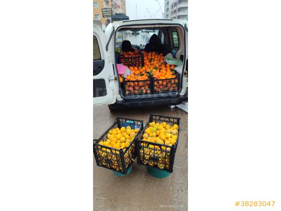 Sahibinden Fiat Fiorino Cargo 1.3 Multijet 2013 Model Ankara