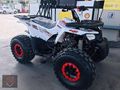 2024 MODEL KÜBA ATV 125 CC
