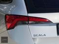 BOYASIZ 2022 SKODA SCALA 1.0 TSİ ELİTE DSG VİTES