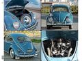 NİĞDELİLER 1963 Volkswagen 1200 /7722
