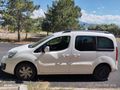 Aile ve iş aracı. fiyat-performans