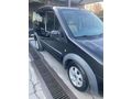 2010 FORD CONNECT 110 BG