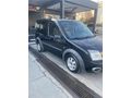 2010 FORD CONNECT 110 BG