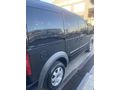 2010 FORD CONNECT 110 BG