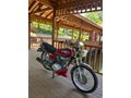 Sahibinden Kuba Çita 100 R 